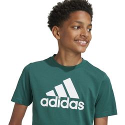 Adidas Essentials Big Logo Cotton Junior T-shirt