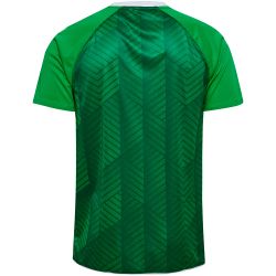 Camiseta Pre-partido Real Betis 26/27 Júnior