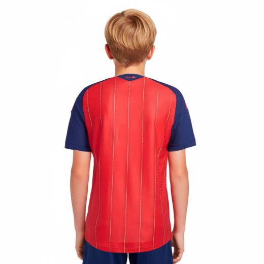 Camiseta Junior primera equipación España 26