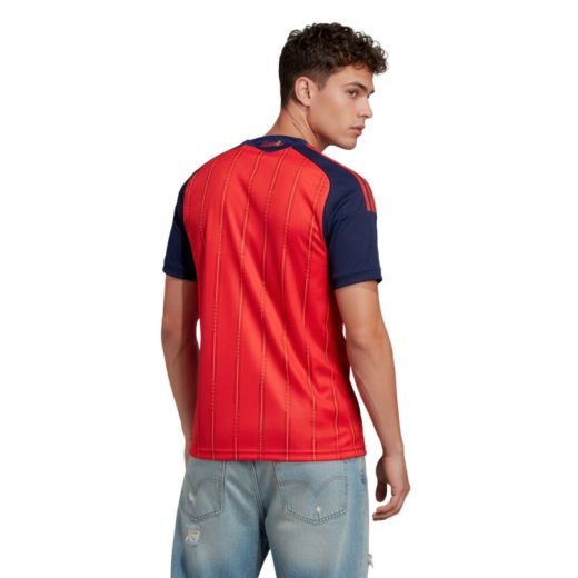 Camiseta primera equipación España 26