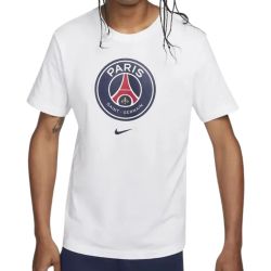 Psg Adult T-shirt 23/24