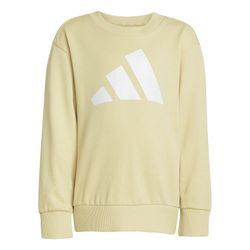 Adidas Essentials sweatshirt and pants set