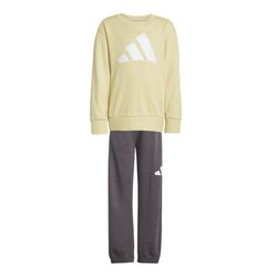 Adidas Essentials sweatshirt and pants set