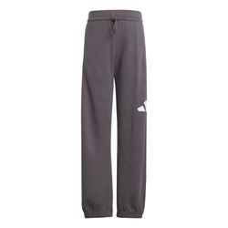 Adidas Essentials sweatshirt and pants set