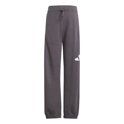 Adidas Essentials sweatshirt and pants set