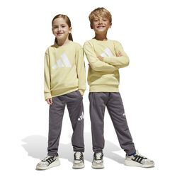 Adidas Essentials sweatshirt and pants set
