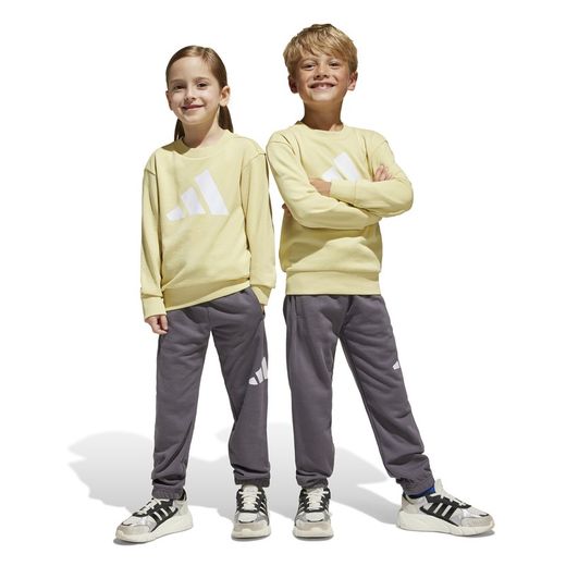 Adidas Essentials sweatshirt and pants set