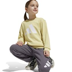 Adidas Essentials sweatshirt and pants set