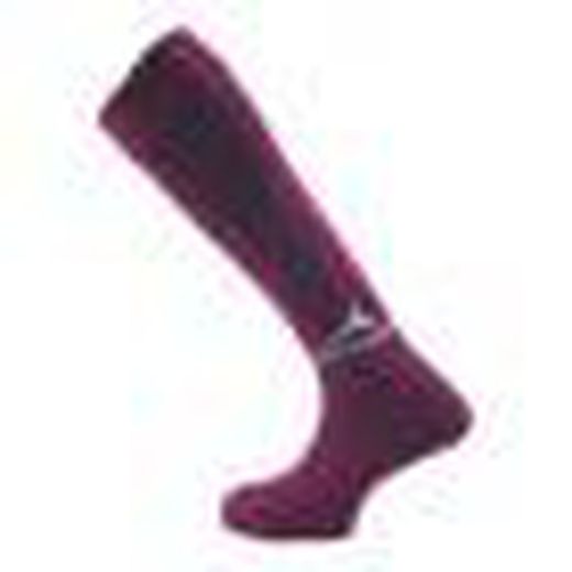 Team Series Socks
