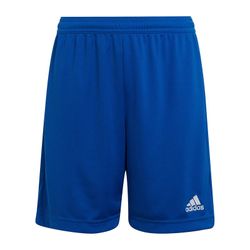 Adidas Ent22 Sho Shorts
