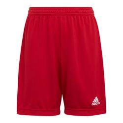 Adidas Ent22 Sho Shorts